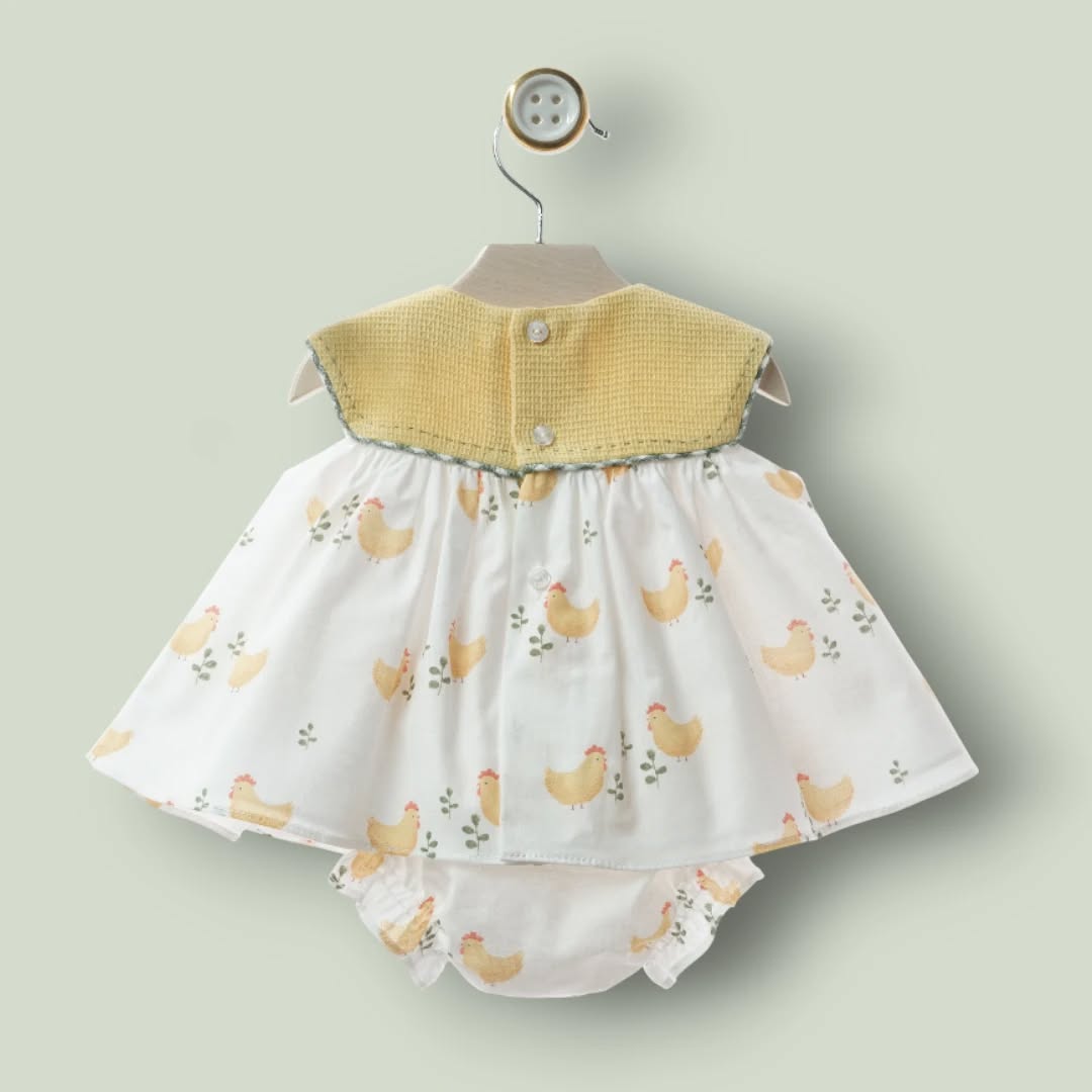 Jesusito gallinitas "Anfora"