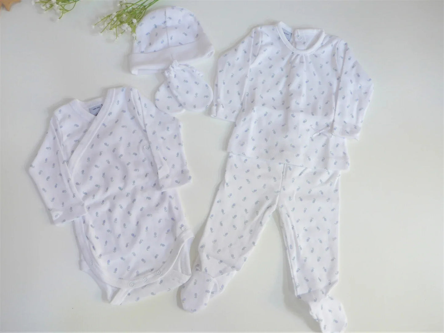 Pack primera puesta naranjas azules - PARDALETS