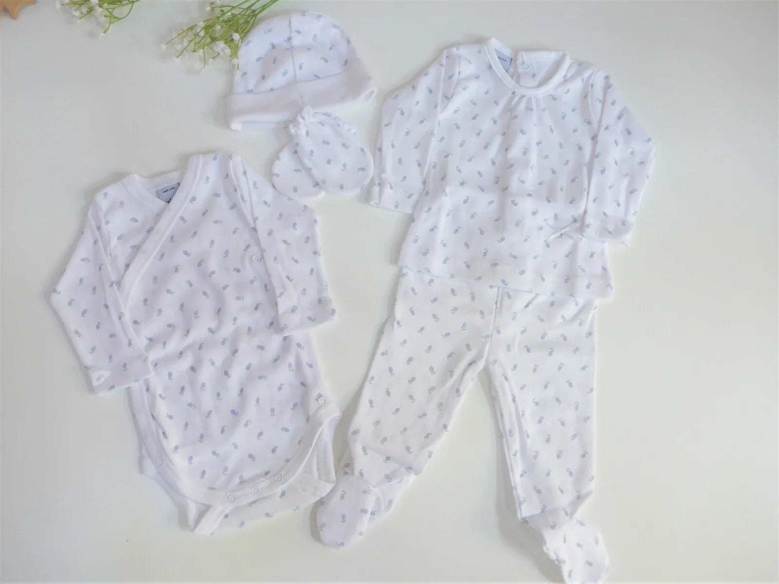 Pack primera puesta naranjas azules - PARDALETS