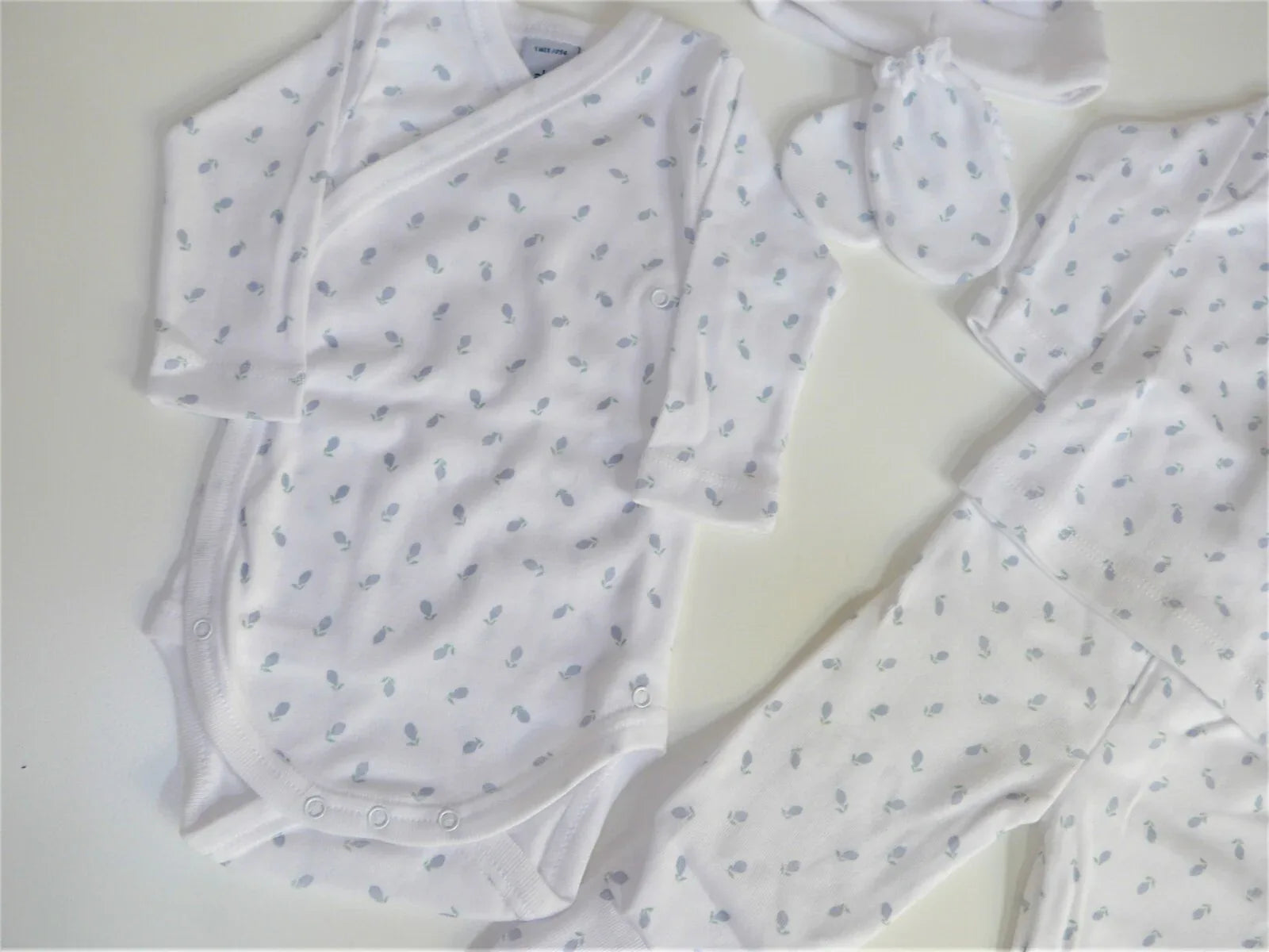 Pack primera puesta naranjas azules - PARDALETS