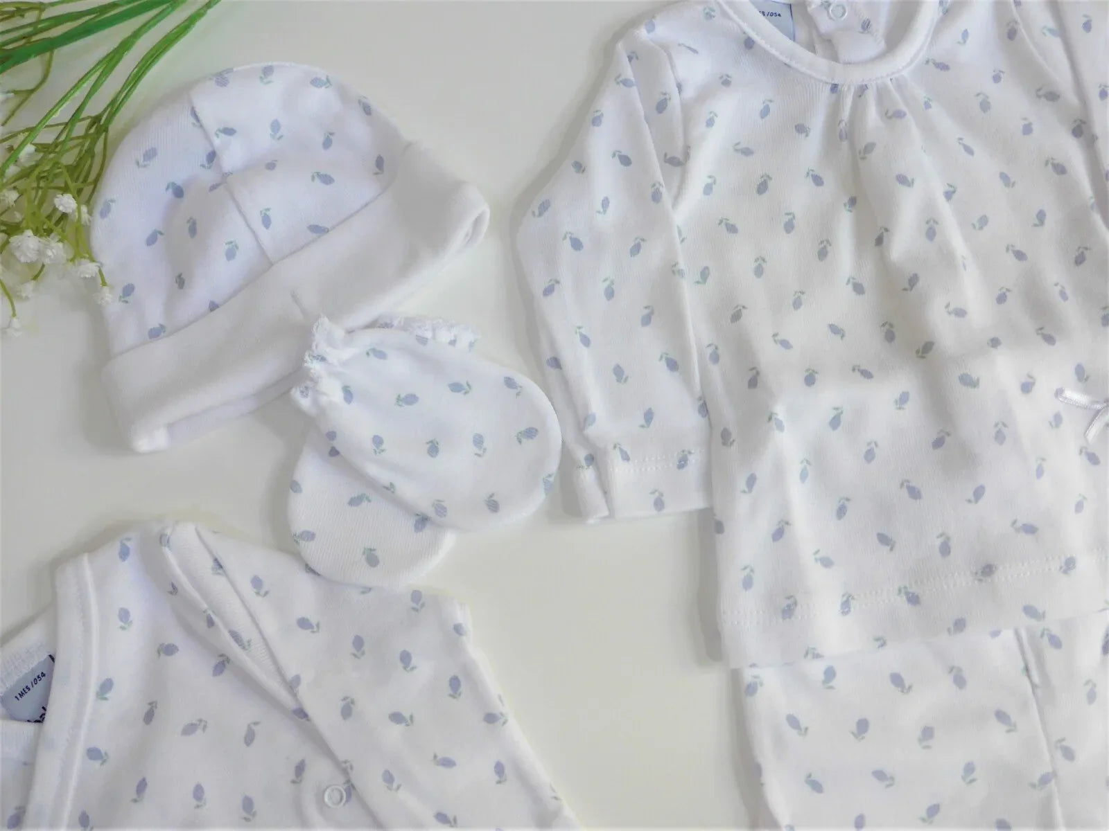 Pack primera puesta naranjas azules - PARDALETS