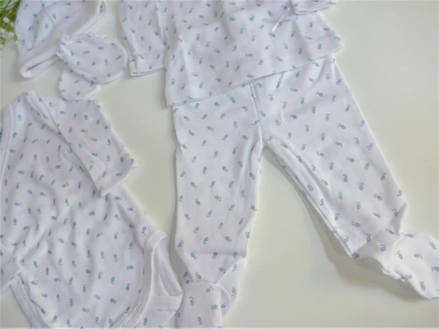 Pack primera puesta naranjas azules - PARDALETS