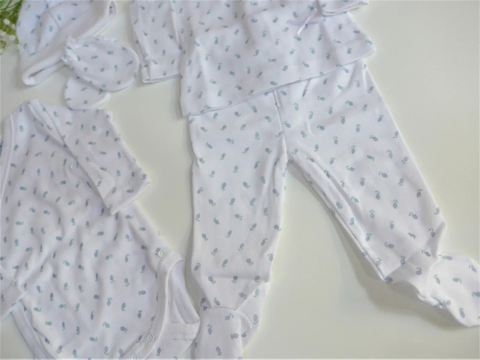 Pack primera puesta naranjas azules - PARDALETS