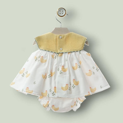 Jesusito gallinitas "Anfora"