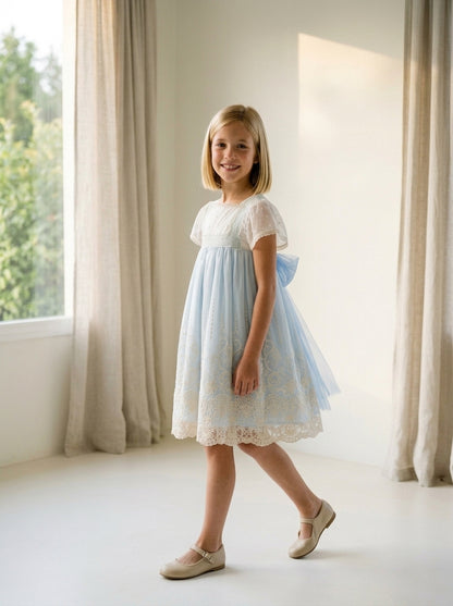 Vestido talle alto tul bordado azul