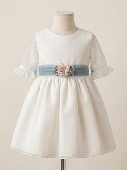Vestido manga corta plumeti de gasa
