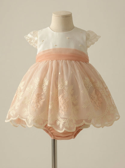 Vestido tul bordado con braguita
