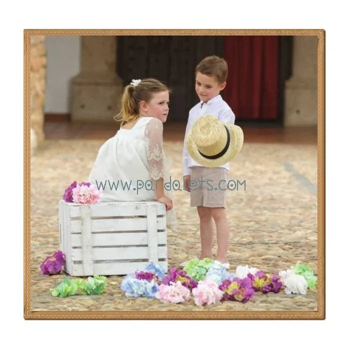 Vestido tul bordado beige manga francesa - PARDALETS